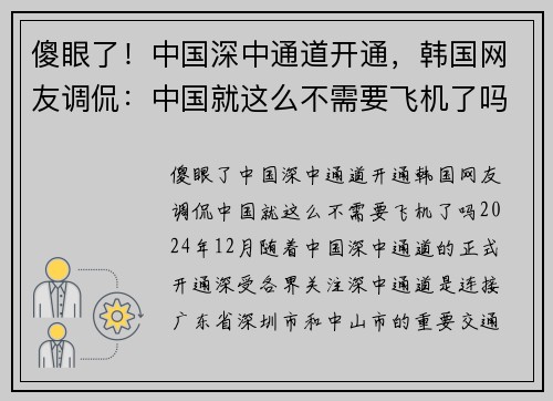 傻眼了!中国深中通道开通,韩国网友调侃:中国就这么不需要飞机了吗?