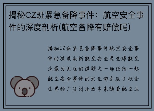揭秘CZ班紧急备降事件:航空安全事件的深度剖析(航空备降有赔偿吗)