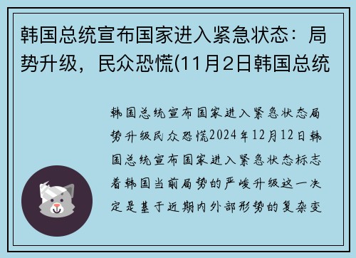 韩国总统宣布国家进入紧急状态：局势升级，民众恐慌(11月2日韩国总统入狱)